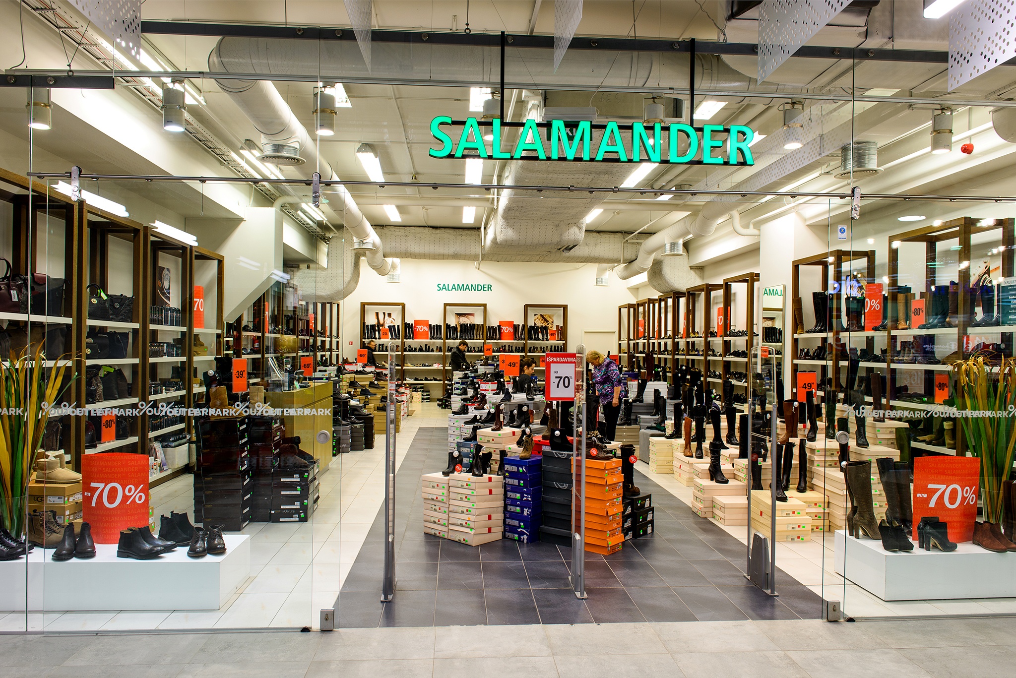 114_salamander-3.jpg